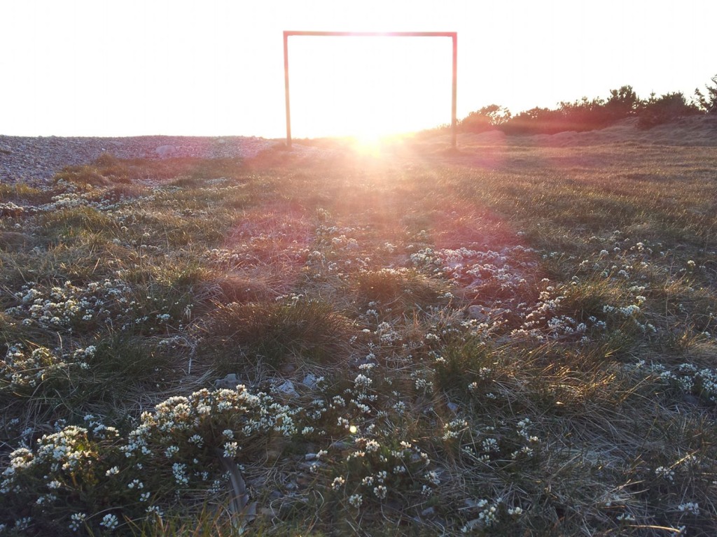 sungoal